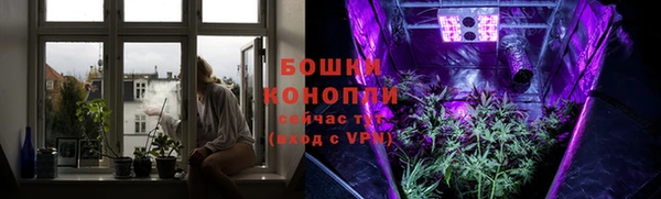 амф Магадан