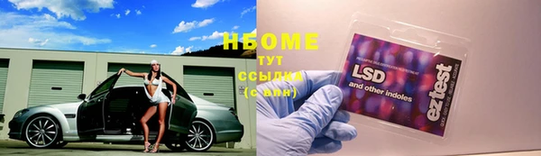 амф Магадан